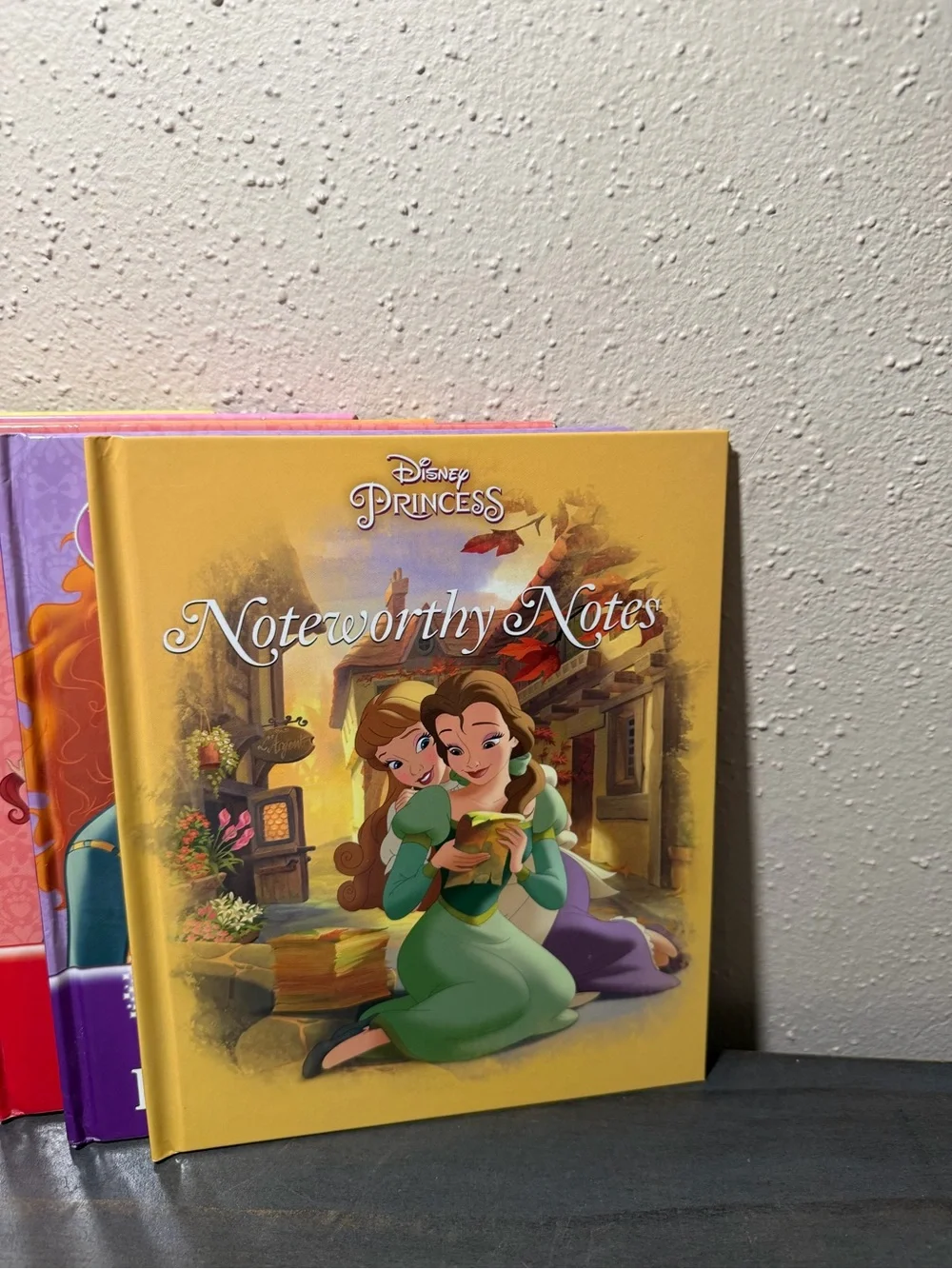 Lot of 16 Disney Princess books- great condition- please read description